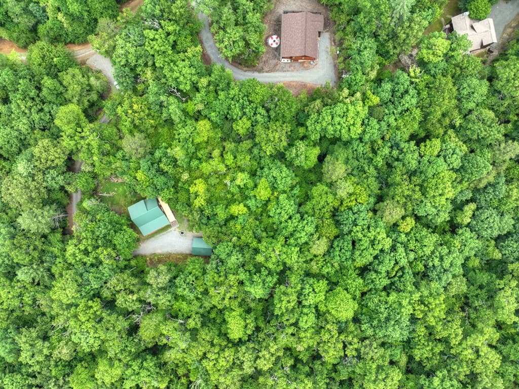 295 Ross Drive, Mineral Bluff GA 30559 - Photo