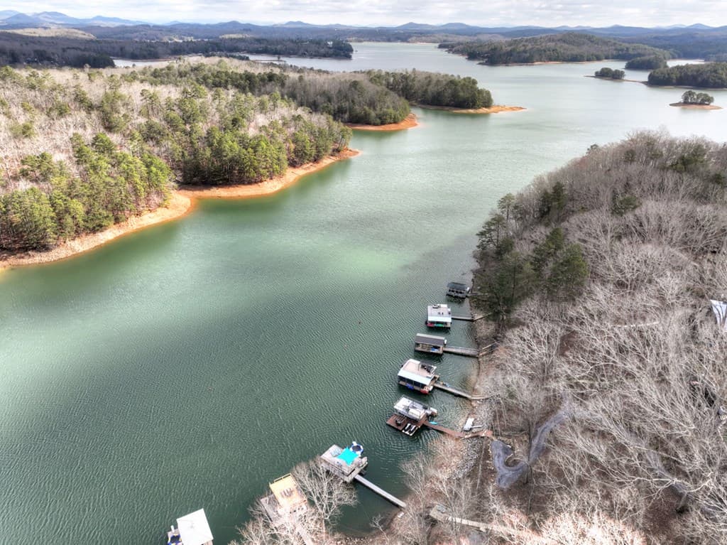 59 Chiefs Lane, Blue Ridge GA 30513 - Photo
