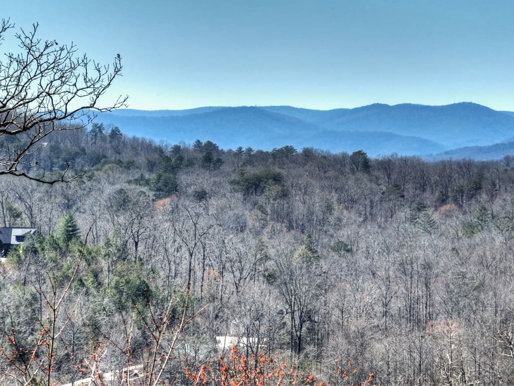 195 Trina Lane, Blue Ridge GA 30513 - Photo