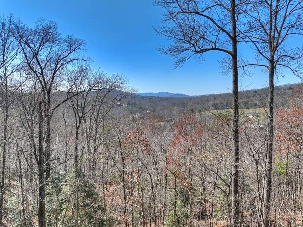195 Trina Lane, Blue Ridge GA 30513 - Photo