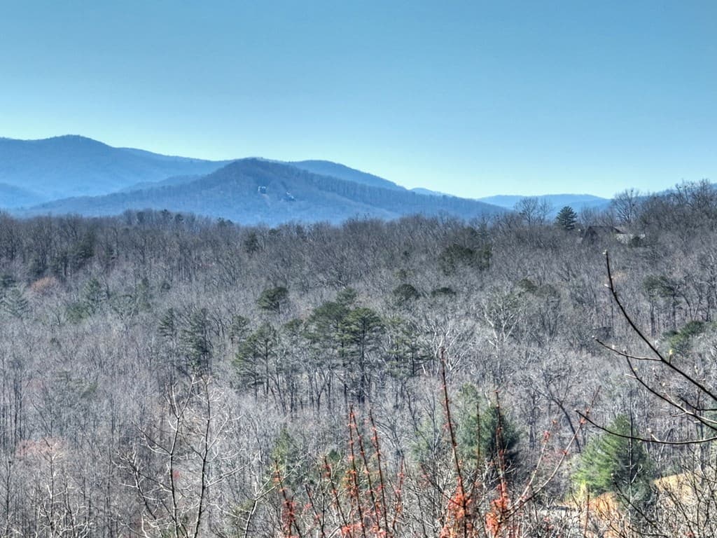 195 Trina Lane, Blue Ridge GA 30513 - Photo