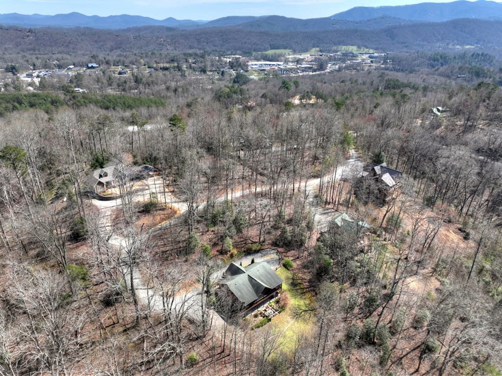 195 Trina Lane, Blue Ridge GA 30513 - Photo