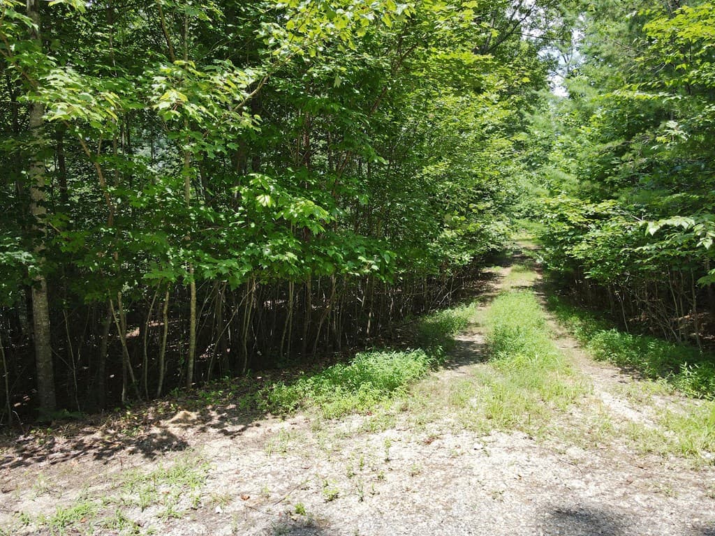 Lot 3-4 Scouts Overlook Lane, Morganton GA 30560 - Photo