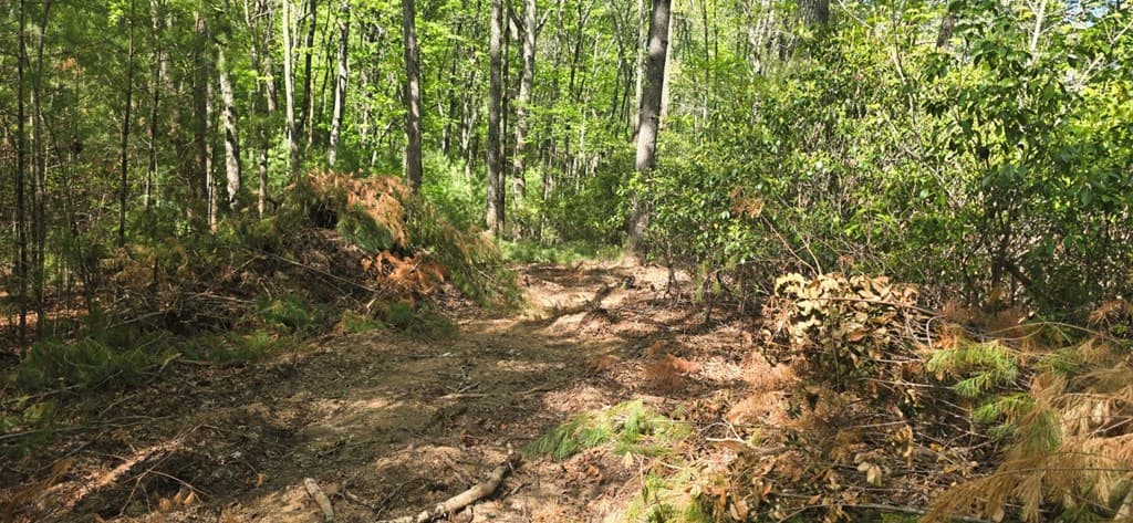 Lot 3-4 Scouts Overlook Lane, Morganton GA 30560 - Photo