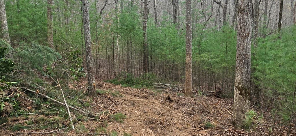 Lot 3-4 Scouts Overlook Lane, Morganton GA 30560 - Photo