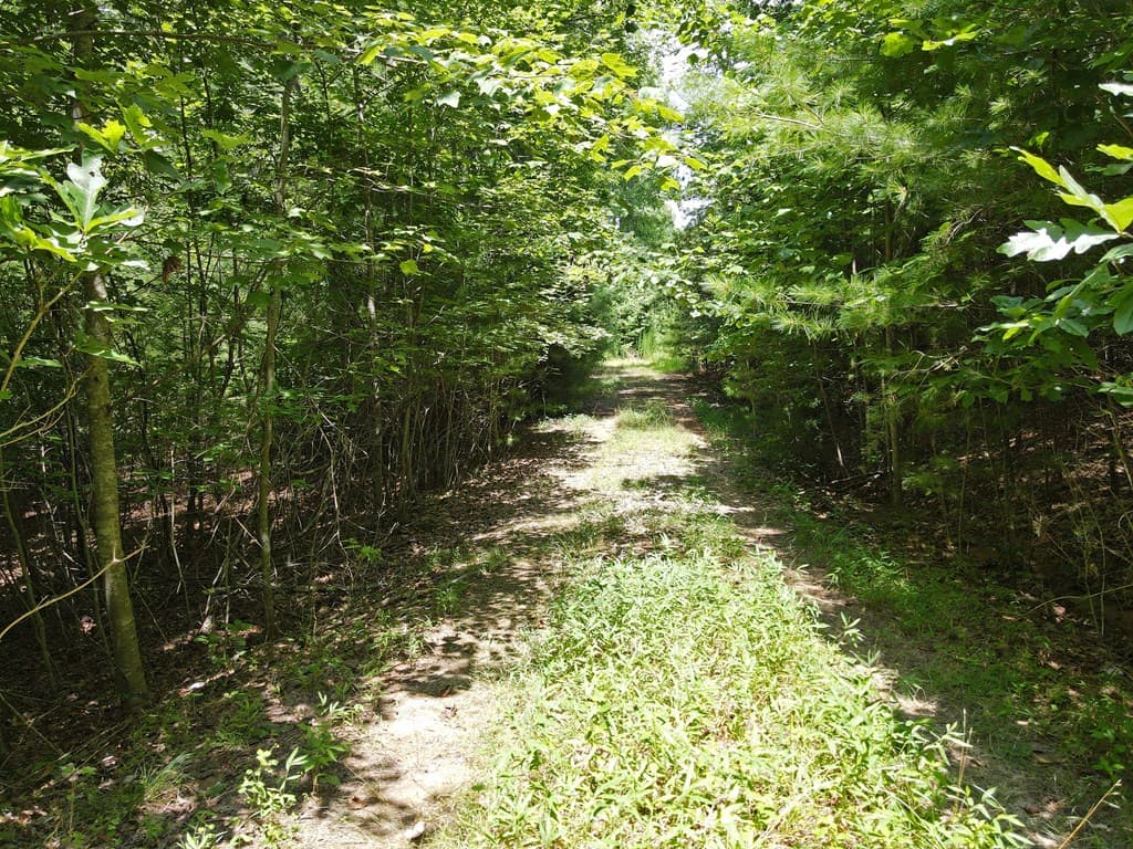 Lot 3-4 Scouts Overlook Lane, Morganton GA 30560 - Photo