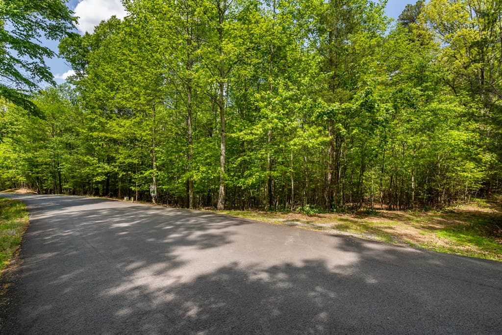 Lot 3-4 Scouts Overlook Lane, Morganton GA 30560 - Photo