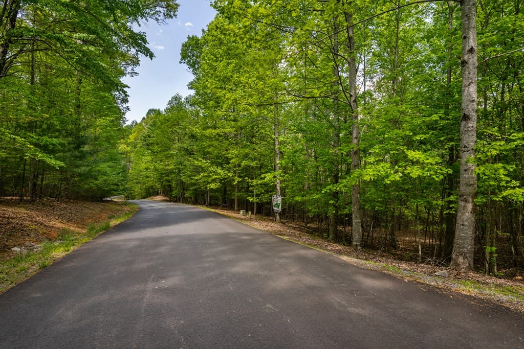 Lot 3-4 Scouts Overlook Lane, Morganton GA 30560 - Photo