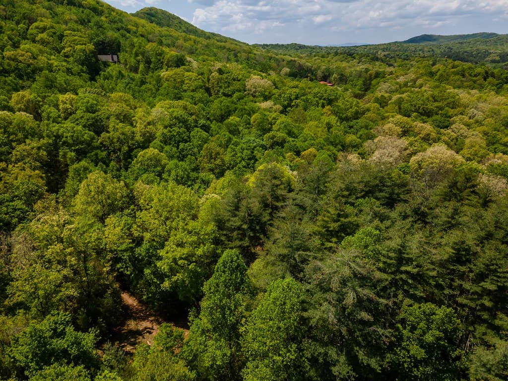 Lot 3-4 Scouts Overlook Lane, Morganton GA 30560 - Photo