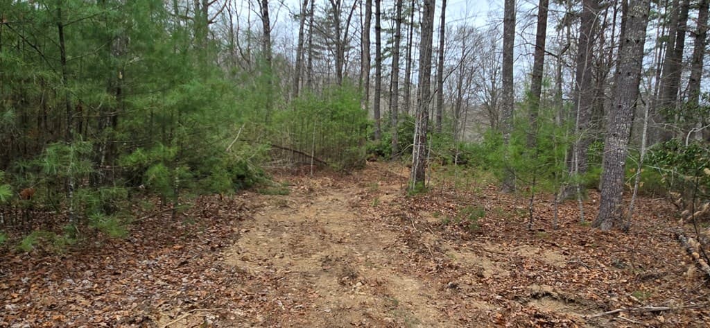 Lot 3-4 Scouts Overlook Lane, Morganton GA 30560 - Photo