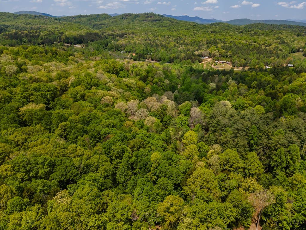 Lot 3-4 Scouts Overlook Lane, Morganton GA 30560 - Photo