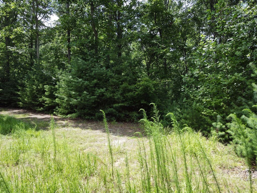 Lot 3-4 Scouts Overlook Lane, Morganton GA 30560 - Photo