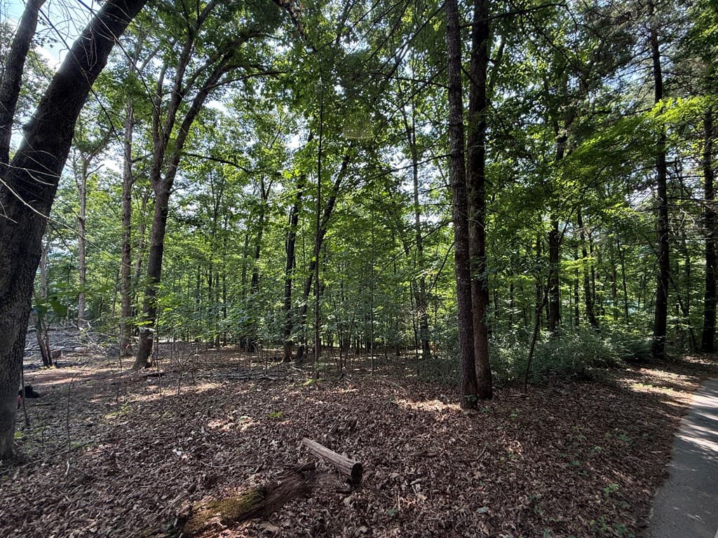 248 Ledford Chapel Road, Hayesville NC 28904 - Photo