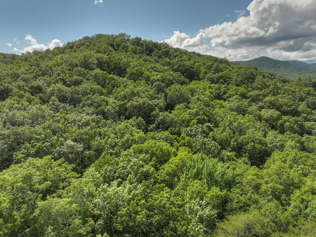 0 Menagerie Ridge, Epworth GA 30541 - Photo