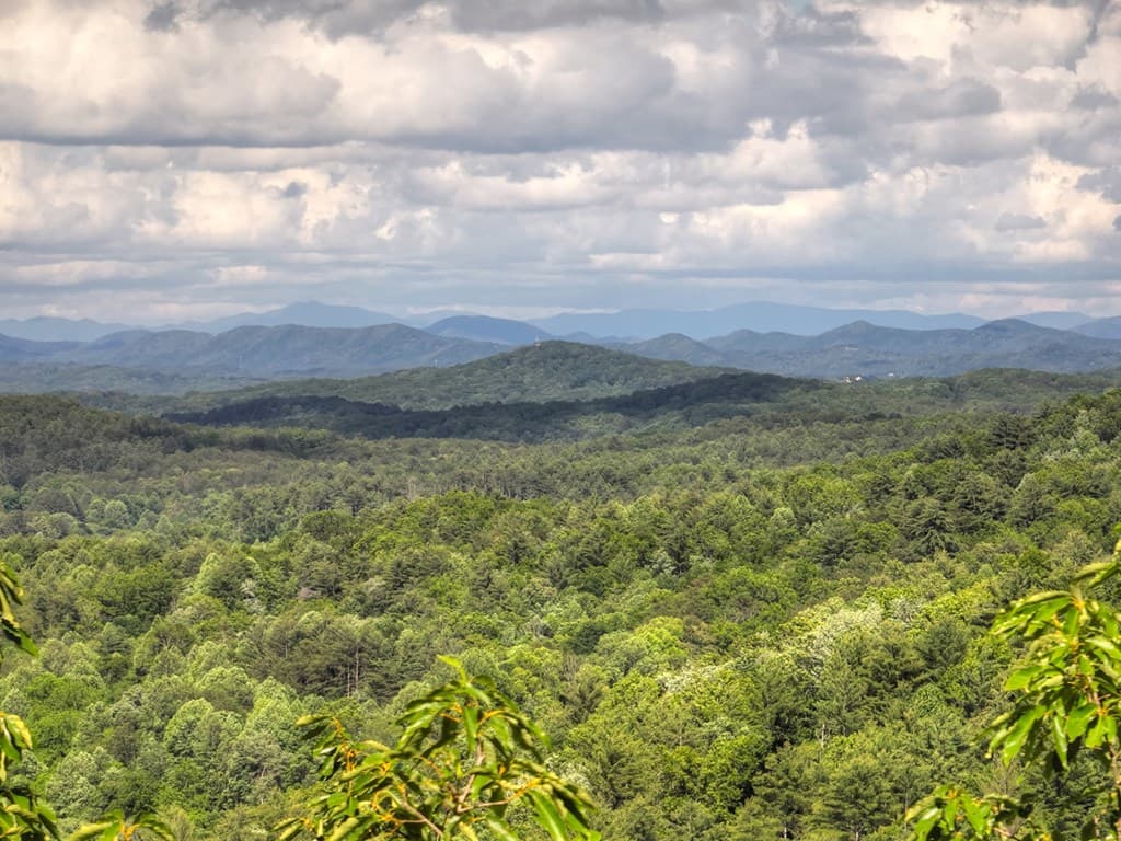 0 Menagerie Ridge, Epworth GA 30541 - Photo