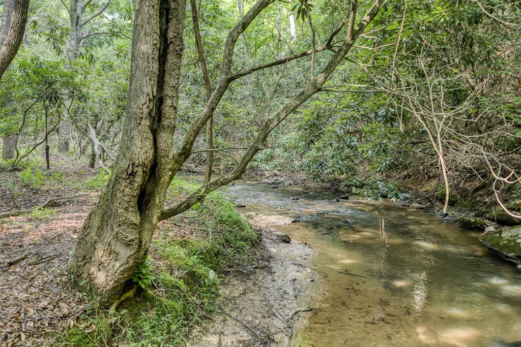 00 Mill Race Drive, Mineral Bluff GA 30559 - Photo