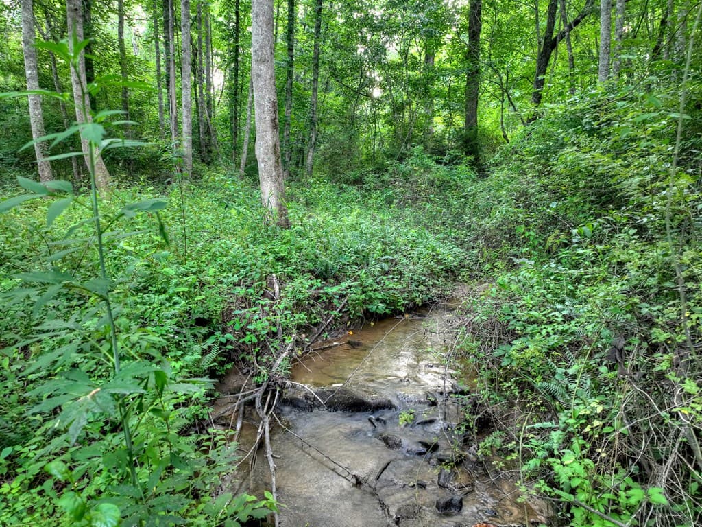 219 Staurolite Mountain Road, Blue Ridge GA 30513 - Photo