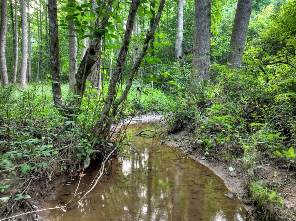 219 Staurolite Mountain Road, Blue Ridge GA 30513 - Photo