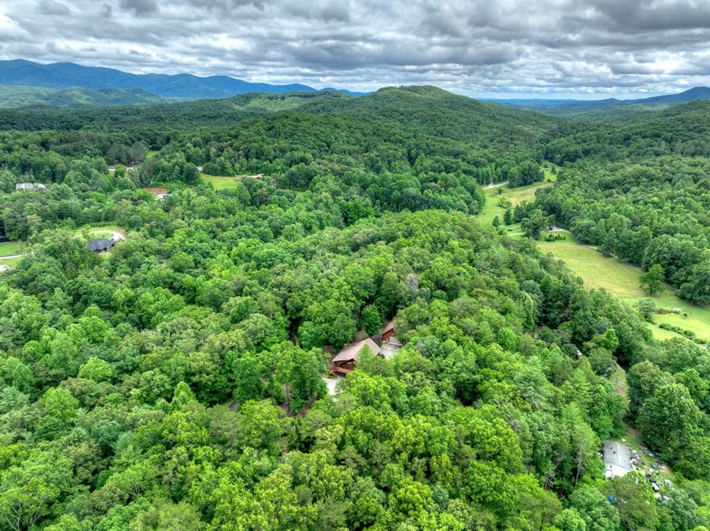 536 Delta Way, Blue Ridge GA 30513 - Photo