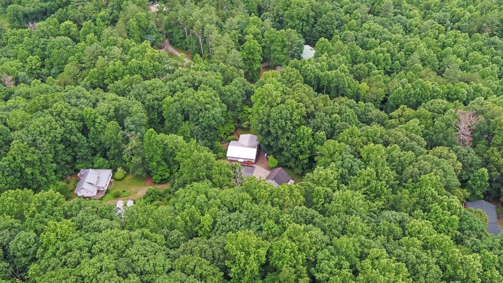 475 Hamilton Road, Blairsville GA 30512 - Photo