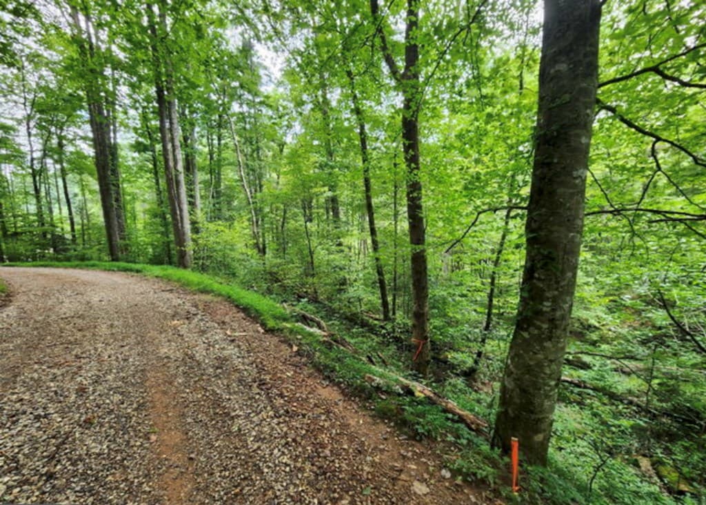 2B Poplar Cove, Suches GA 30572 - Photo