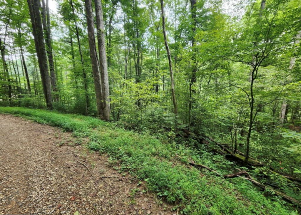 2B Poplar Cove, Suches GA 30572 - Photo