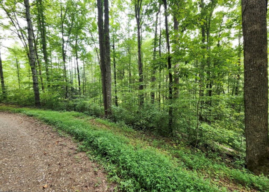 2B Poplar Cove, Suches GA 30572 - Photo