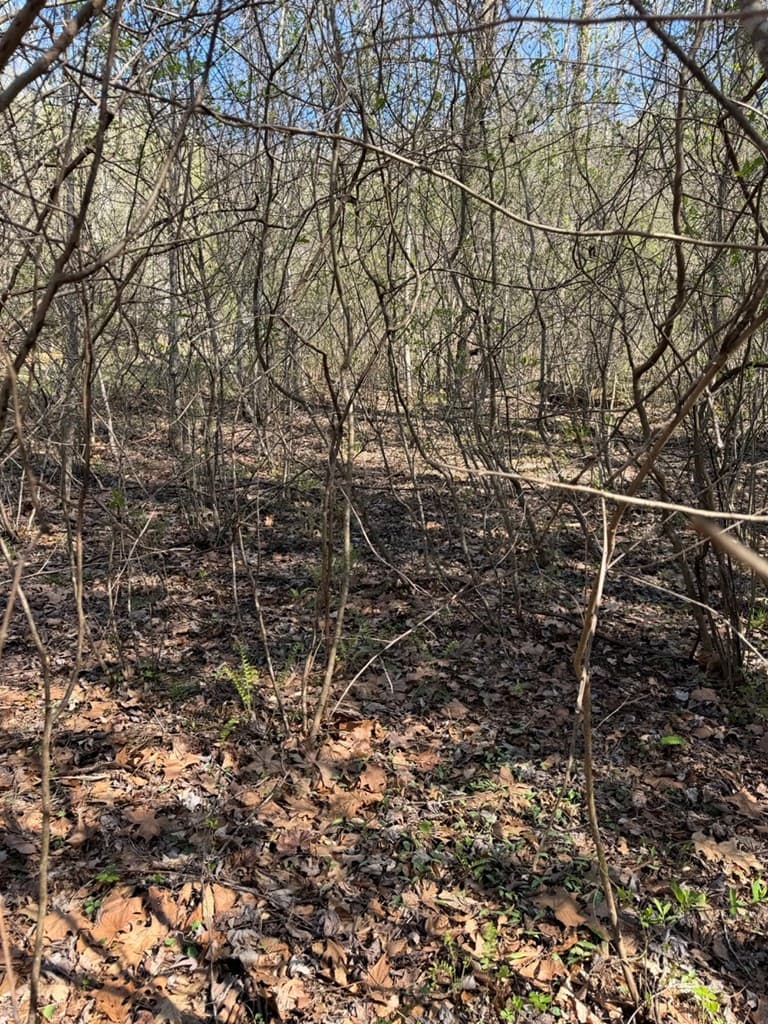 Lot 16-N High Meadows Drive, Hayesville NC 28904 - Photo