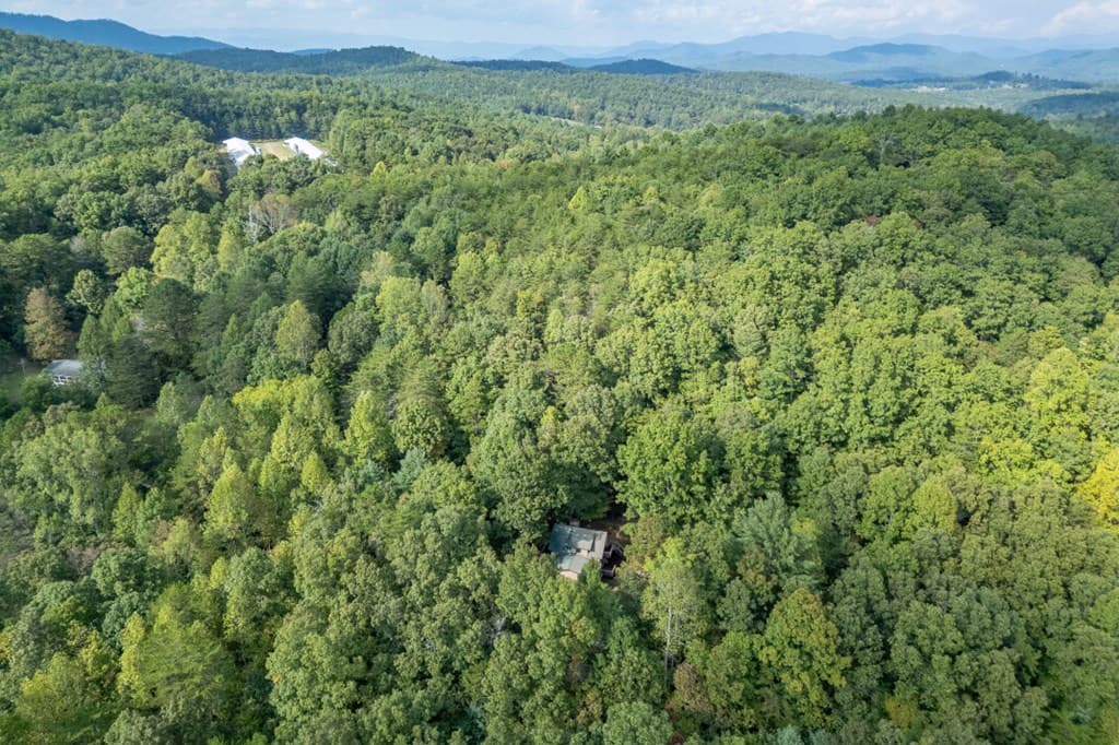 132 Silver Dollar Lane, Young Harris GA 30582 - Photo