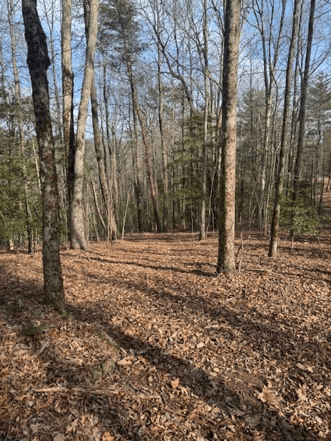 Lt 1,2,3 Abercrombie Estates, Suches GA 30572 - Photo