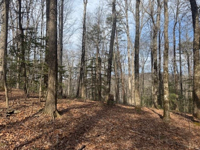 Lt 1,2,3 Abercrombie Estates, Suches GA 30572 - Photo