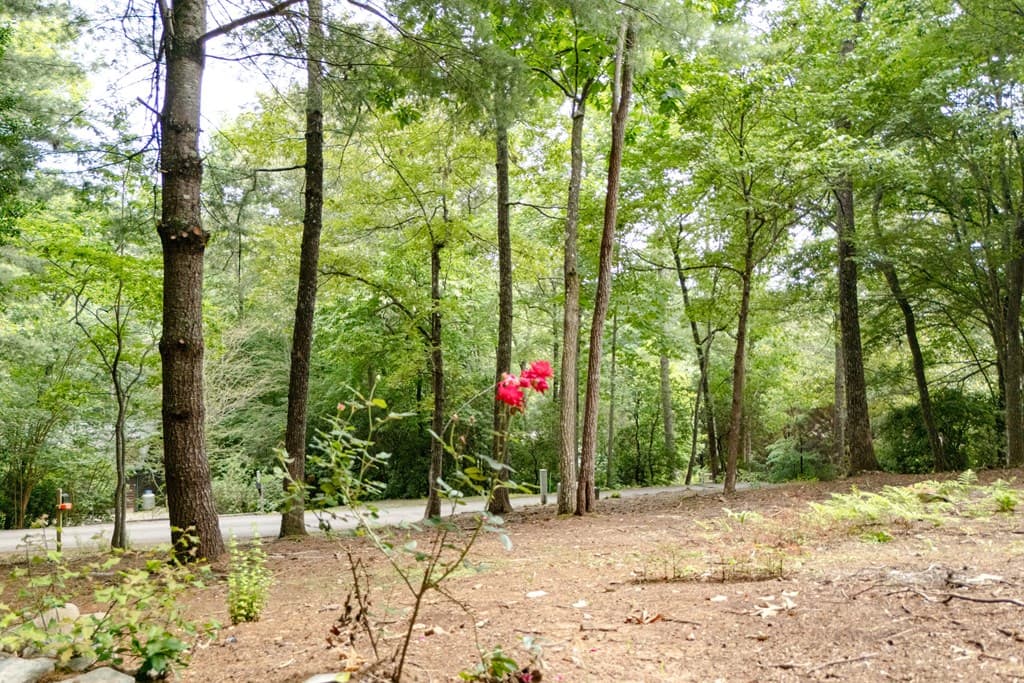 169 Autumn Lane, Blairsville GA 30512 - Photo