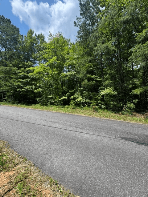 TR 3 & 4 Lakeland Drive, Ellijay GA 30540 - Photo