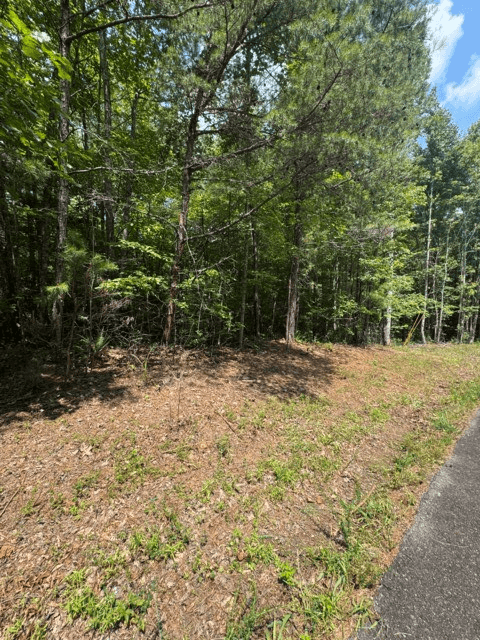 TR 3 & 4 Lakeland Drive, Ellijay GA 30540 - Photo