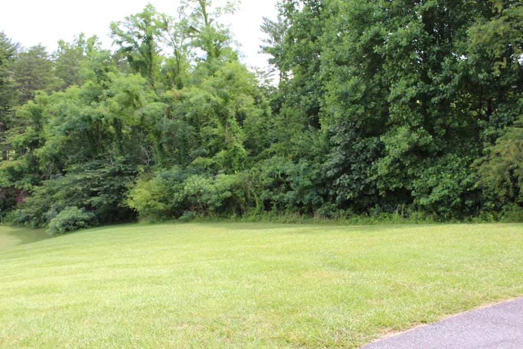 Lot 133A Mountain Harbour Drive, Hayesville NC 28904 - Photo