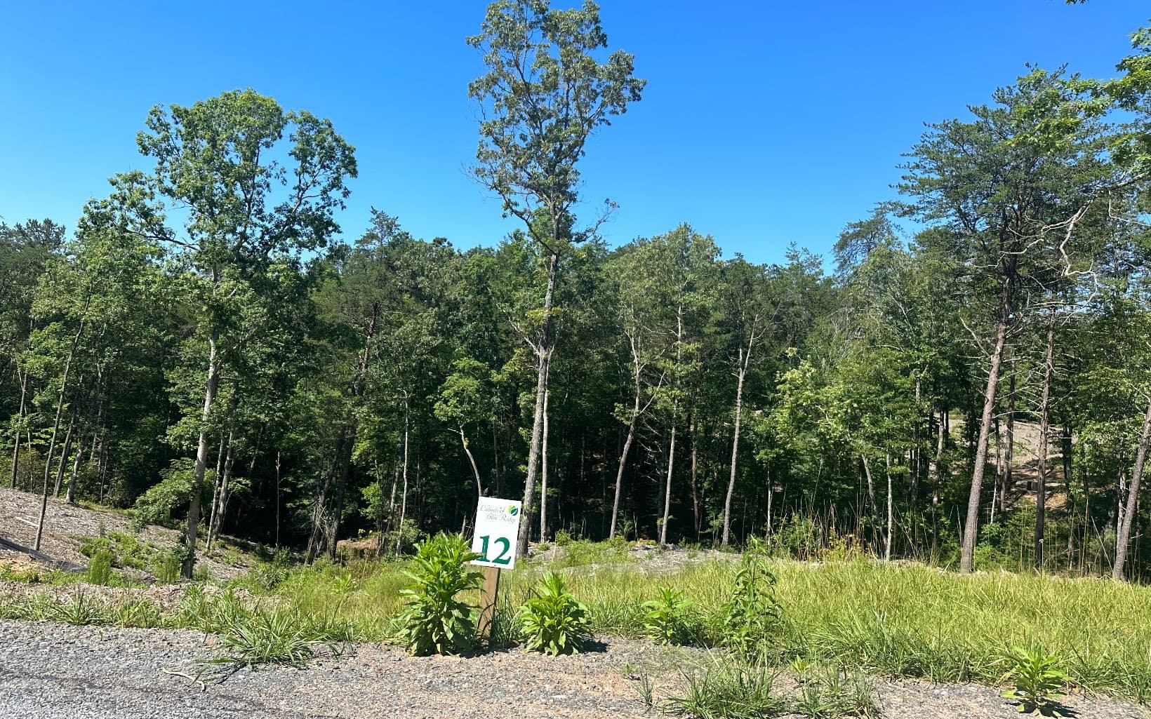 LT12 Mountain Laurel Ridge, Mineral Bluff GA 30559 - Photo