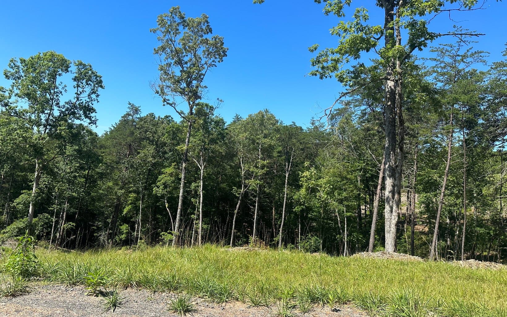LT12 Mountain Laurel Ridge, Mineral Bluff GA 30559 - Photo