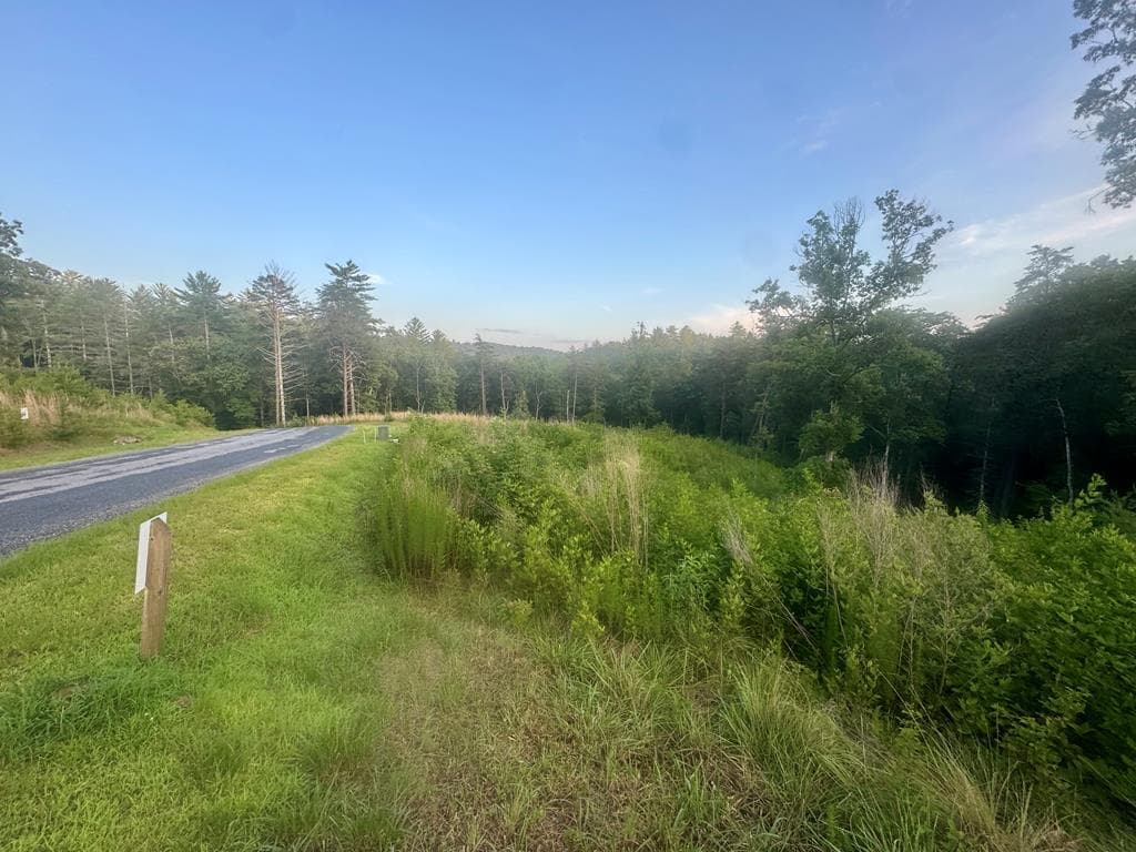 LT12 Mountain Laurel Ridge, Mineral Bluff GA 30559 - Photo