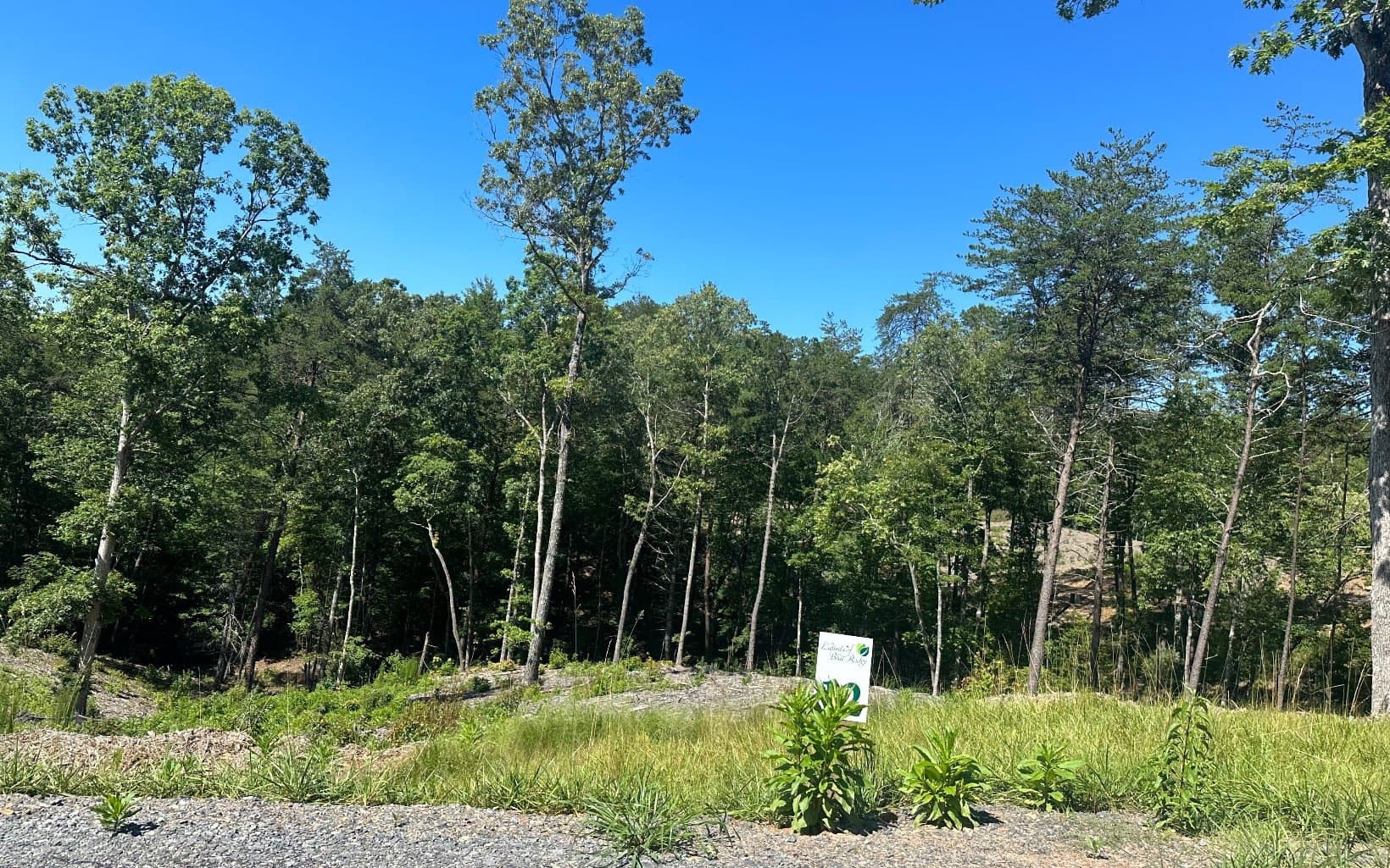 LT12 Mountain Laurel Ridge, Mineral Bluff GA 30559 - Photo