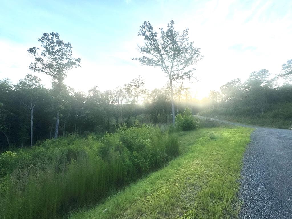 LT12 Mountain Laurel Ridge, Mineral Bluff GA 30559 - Photo