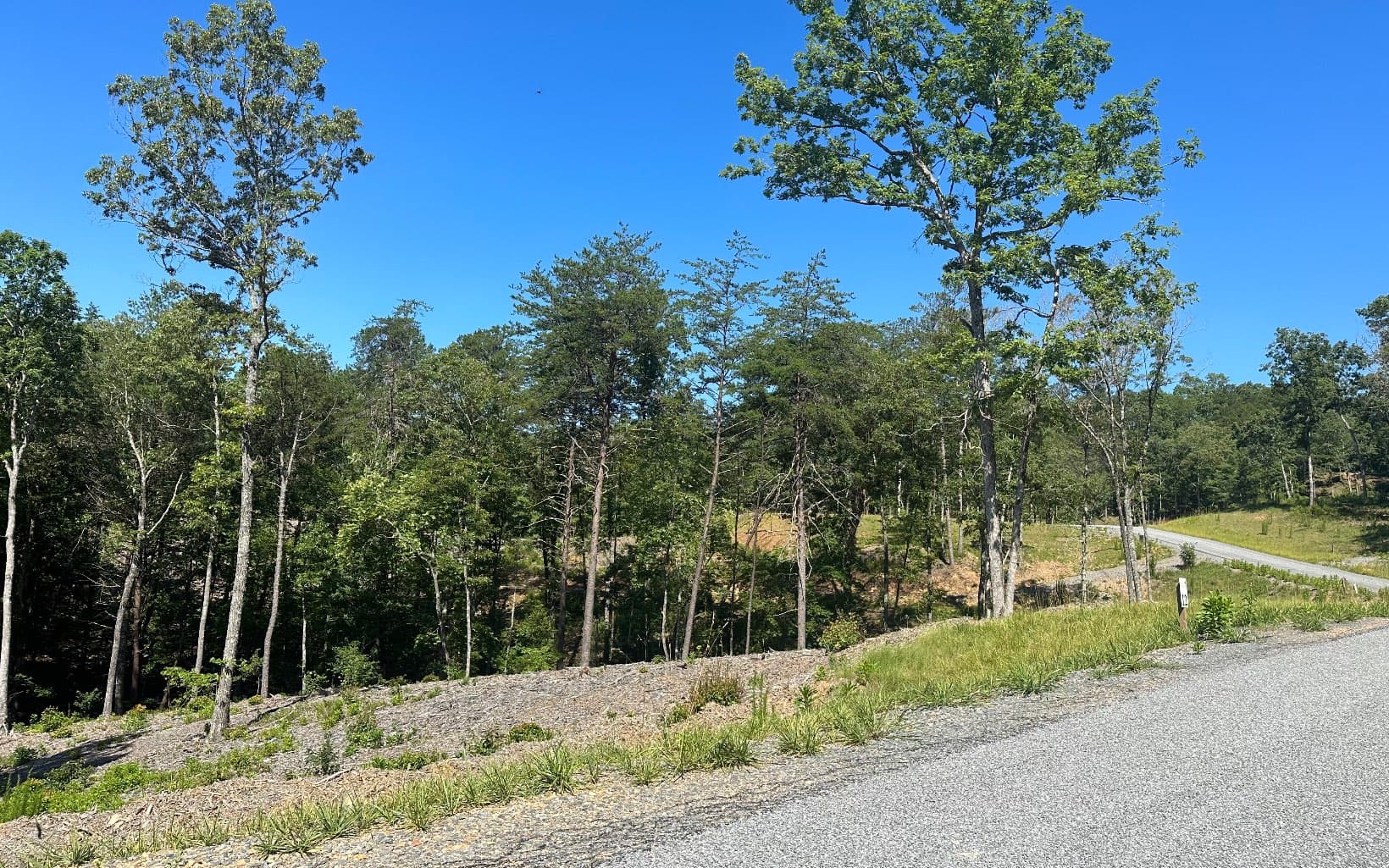 LT12 Mountain Laurel Ridge, Mineral Bluff GA 30559 - Photo
