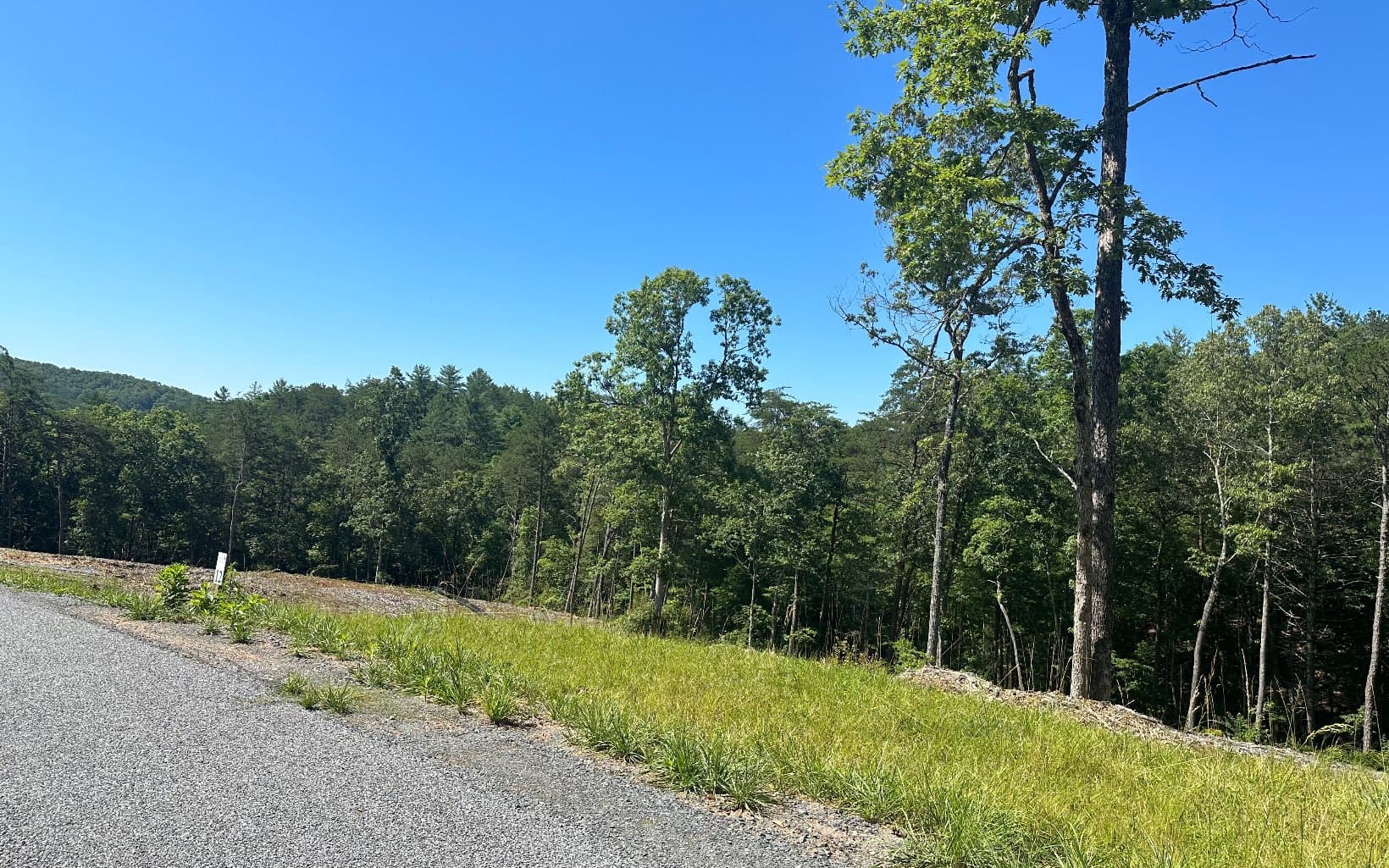 LT12 Mountain Laurel Ridge, Mineral Bluff GA 30559 - Photo