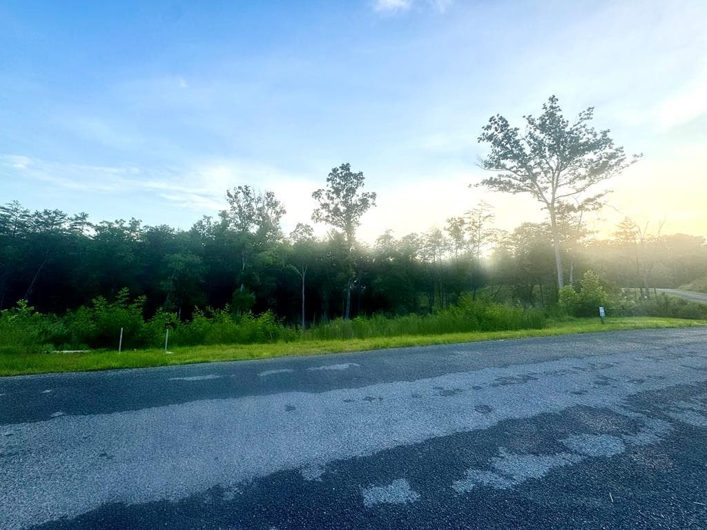 LT12 Mountain Laurel Ridge, Mineral Bluff GA 30559 - Photo