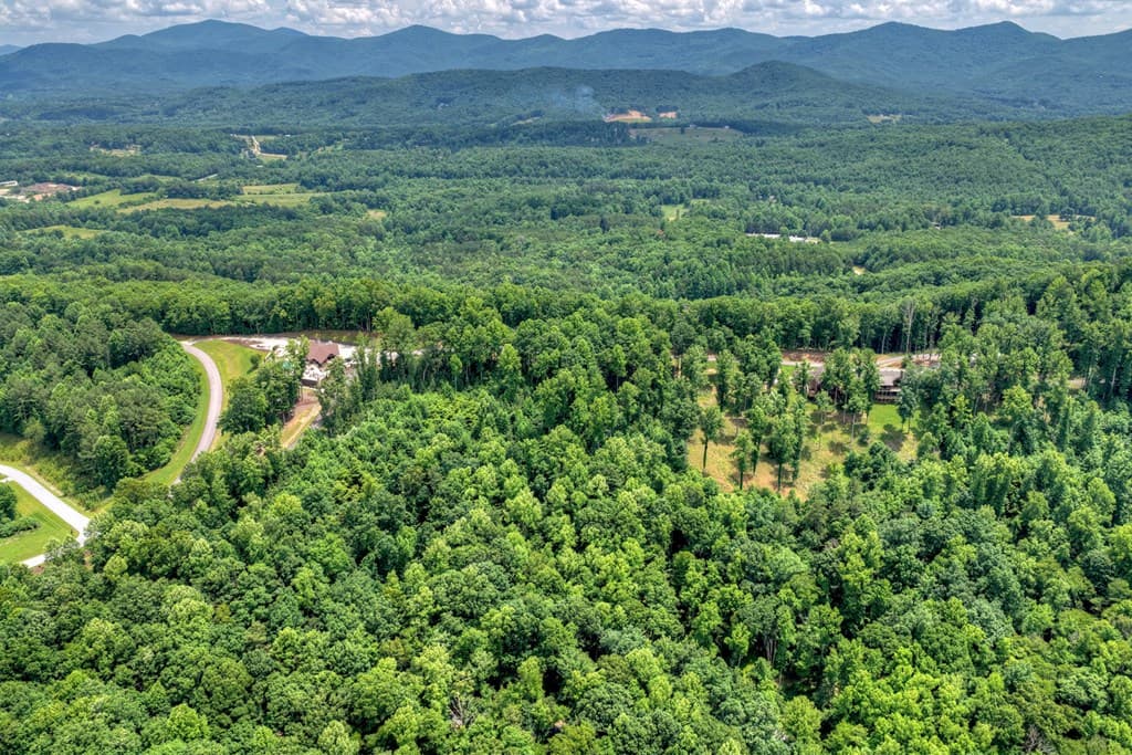 Lot 94 Thirteen Hundred S/D, Blairsville GA 30512 - Photo