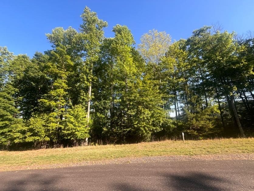 Lot 94 Thirteen Hundred S/D, Blairsville GA 30512 - Photo