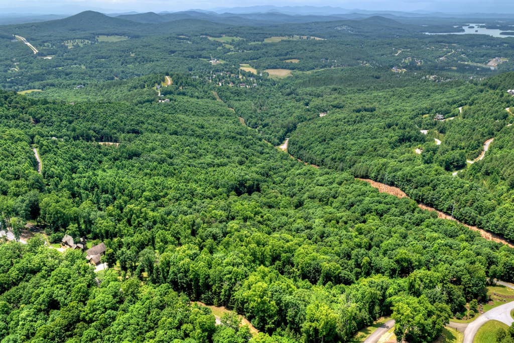 Lot 94 Thirteen Hundred S/D, Blairsville GA 30512 - Photo