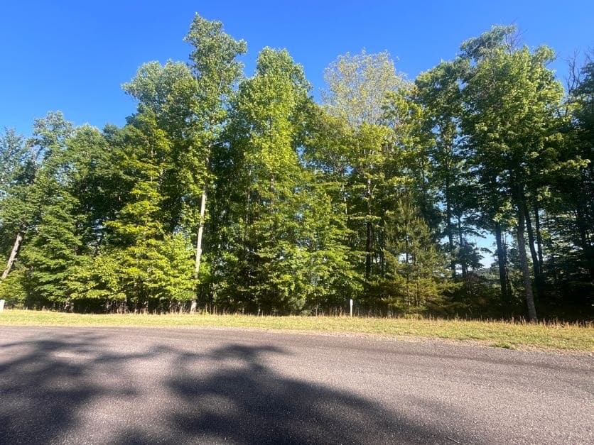 Lot 94 Thirteen Hundred S/D, Blairsville GA 30512 - Photo