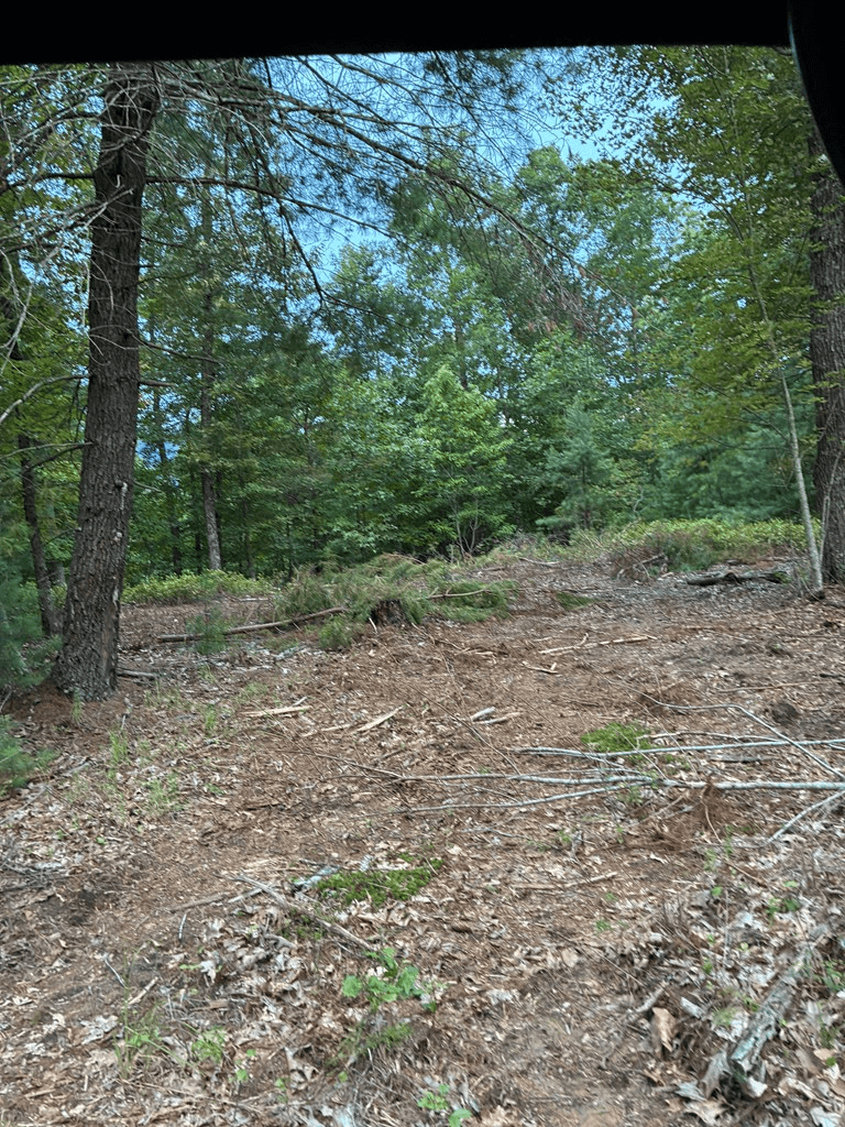 50+/- Pickelsimer Road, Morganton GA 30560 - Photo