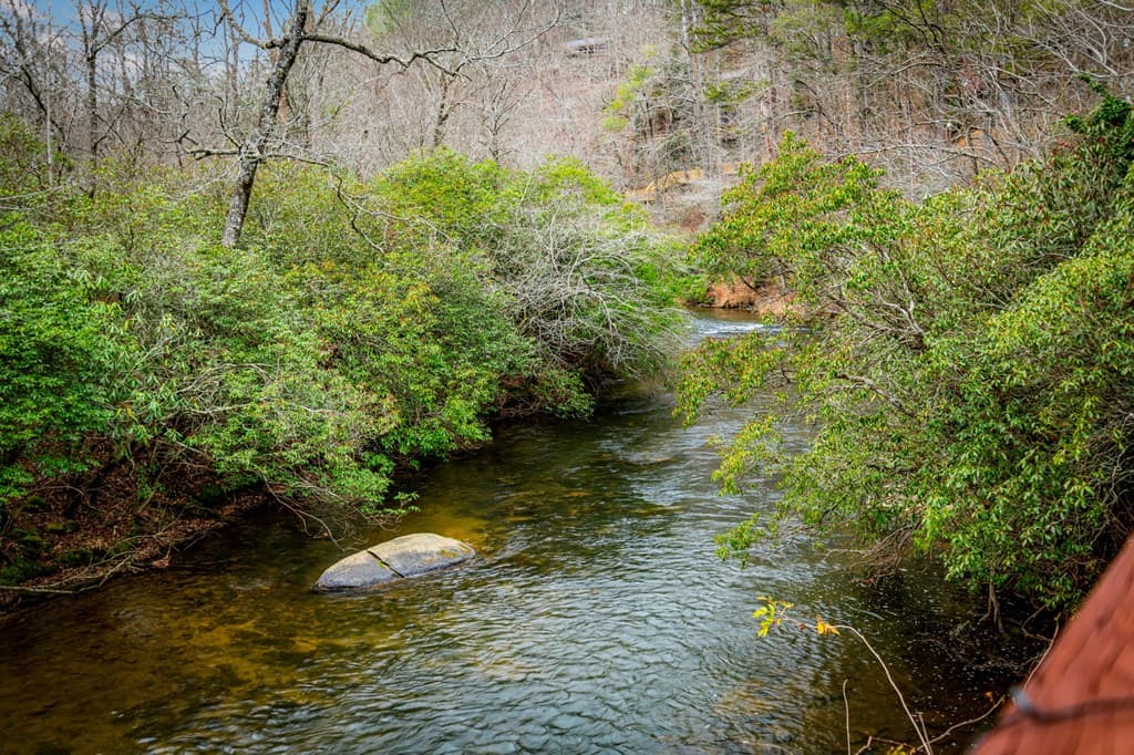 120 North Riverview Ln, Ellijay GA 30536 - Photo