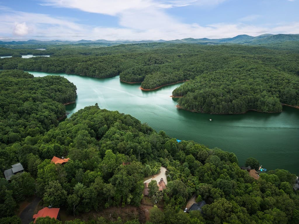 115 Necowa Cove Overlook, Blue Ridge GA 30513 - Photo